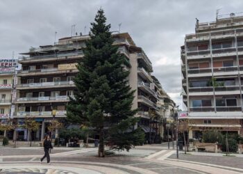 Τοποθετήθηκε το χριστουγεννιάτικο δέντρο στο κέντρο του Αγρινίου – Την Παρασκευή θα ανάψει