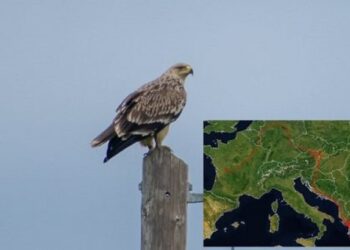 Από τον Αμβρακικό σε… όλη την Ευρώπη