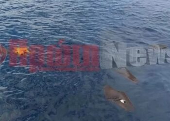 Ανδραβίδα- Πτώση Φάντομ: Βρέθηκε νεκρός ο ένας πιλότος