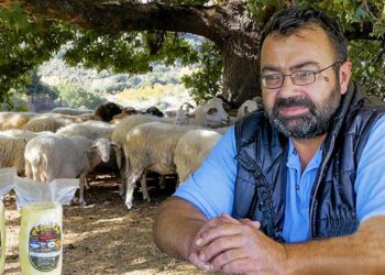 Ο Γιάννης και το κοπάδι του – Η ζωή στον Παρνασσό (video)