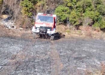 Αγρίδι Βάλτου: Κινητοποίηση της Πυροσβεστικής για πυρκαγιά σε δασική έκταση (φωτο)