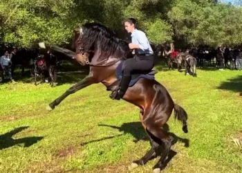Γέμισε καβαλάρηδες και …αμαζόνες η Βόνιτσα σήμερα Κυριακή 23 Απριλίου ανήμερα του Αγίου Γεωργίου
