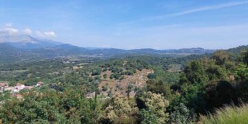 Γνώρισαν από κοντά το σπάνιο βελανιδοδάσος του Ξηρομέρου (φωτο)