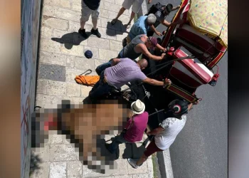 Κέρκυρα: Άλογο τουριστικής άμαξας ξεψύχησε στη μέση του δρόμου