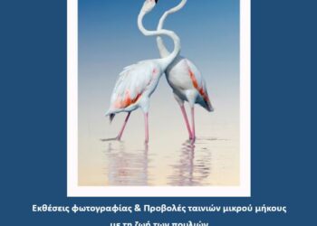 Έκθεση φωτογραφίας «Γιορτή των Πουλιών» του Καλλιτέχνη Βασίλη Αρτίκου στο κτίριο Χρυσόγελου