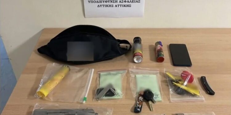 Σύλληψη οκτώ ατόμων για οπαδικά επεισόδια και ξυλοδαρμούς (video)