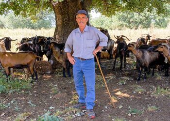 Σαρδίνια: Ο Ηλίας και τα Γίδια του –  Από το Ξημέρωμα ως το Σούρουπο με τα ζώα (video)