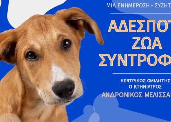 Ναύπακτος: Δράσεις ενημέρωσης και Ημέρα Υιοθεσίας αδέσποτων ζώων στον Κήπο Ξενία