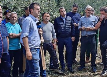 Θανάσης Παπαθανάσης: «Άμεση η ανταπόκριση της πολιτείας – Δίπλα στους πληγέντες παραγωγούς της Αιτωλοακαρνανίας»
