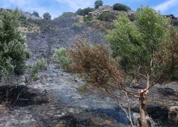 Ευηνοχώρι: Μεγάλη κινητοποίηση για φωτιά κοντά στην Αρχαία Καλυδώνα (φωτο)