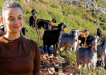 Αρχοντοχώρι: Η απλή ζωή μιας νεαρής κτηνοτρόφου των Ακαρνανικών βουνών (video)